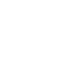 voesh logo